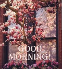 vartotojo �kelta nuotrauka